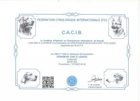 CACIB 4.8.2013 PL